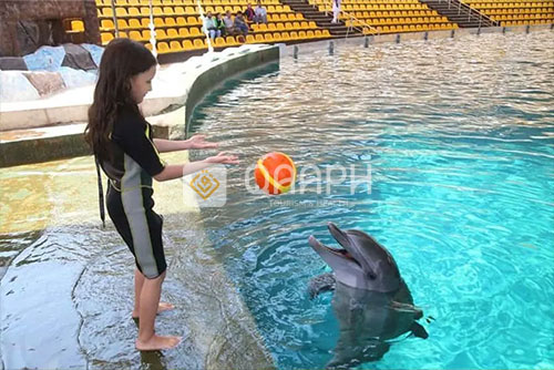 iran-kish-island-dolphin-park-1